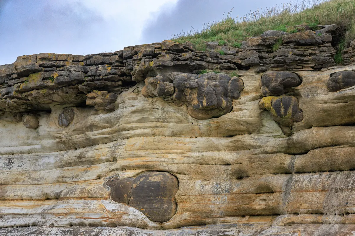 L'échelle des temps géologiques expliquée aux collectionneurs