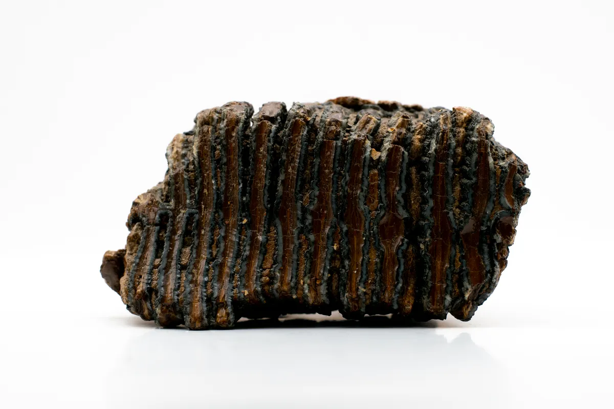 Malachite, azurite, chrysocolle : reconnaître les minéraux du cuivre